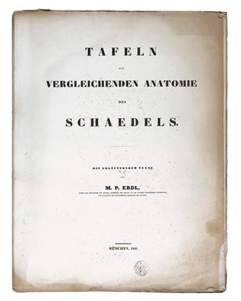 MEDICINE  ERDL, MICHAEL PIUS. Tafeln zur vergleichenden Anatomie des Schaedels.  1841